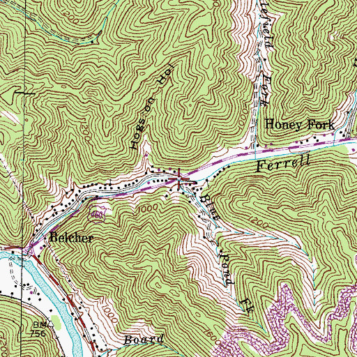 Topographic Map of Blue Pond Fork, KY