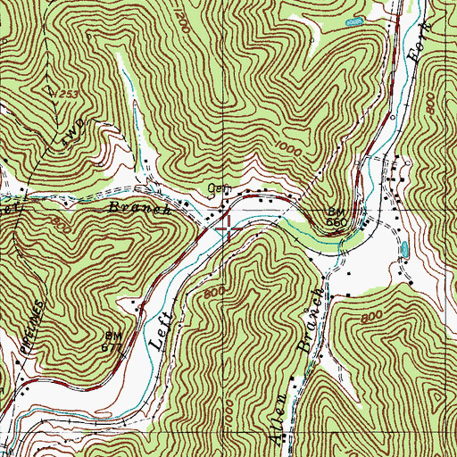 Topographic Map of Blue River Branch, KY