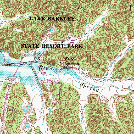 Topographic Map of Blue Spring, KY
