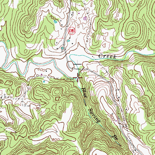 Topographic Map of Blue Spring Branch, KY