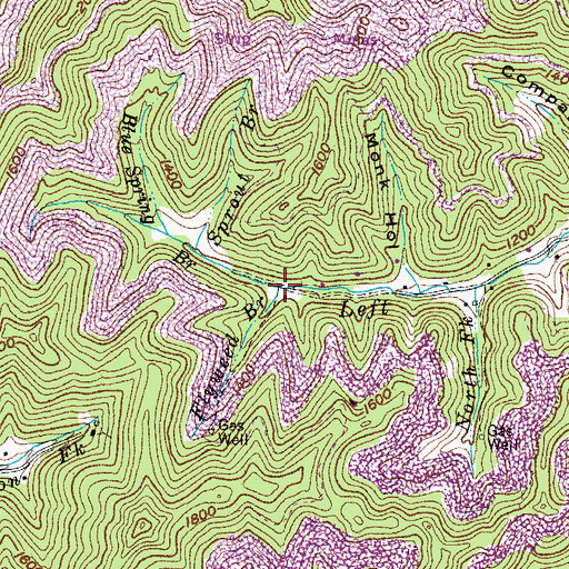 Topographic Map of Blue Spring Branch, KY
