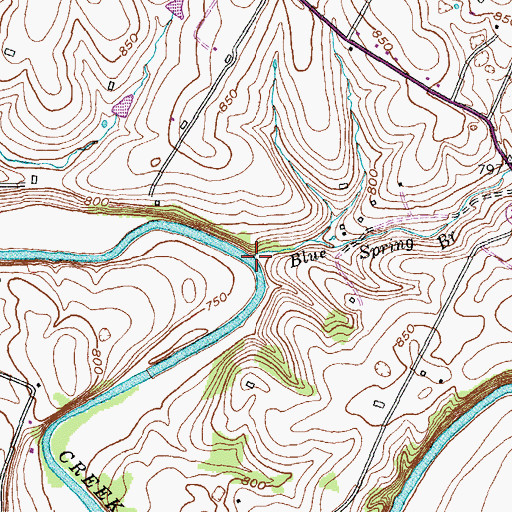 Topographic Map of Blue Spring Branch, KY