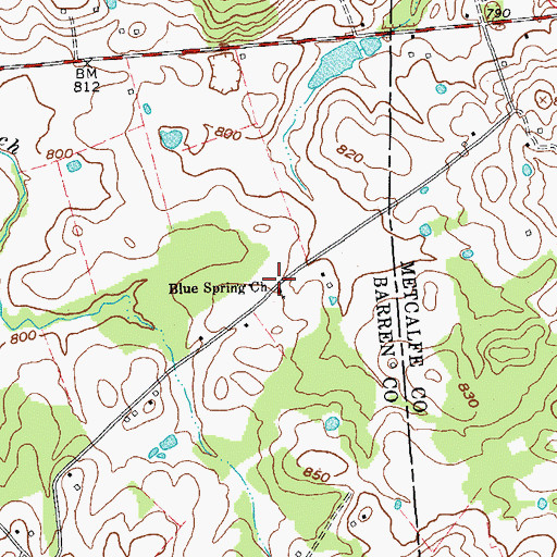 Topographic Map of Blue Spring Church, KY