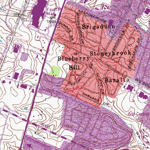 Topographic Map of Blueberry Hill, KY