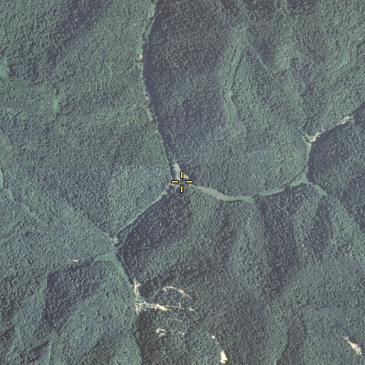 Aerial/Satellite Image of Bo Fork, KY