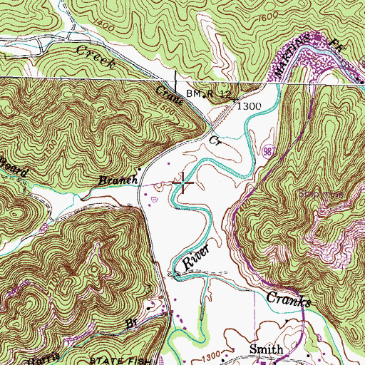 Topographic Map of Board Branch, KY