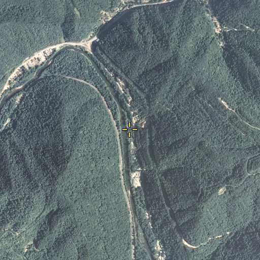 Aerial/Satellite Image of Board Fork, KY