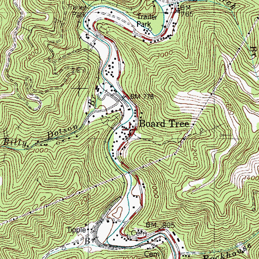 Topographic Map of Board Tree, KY
