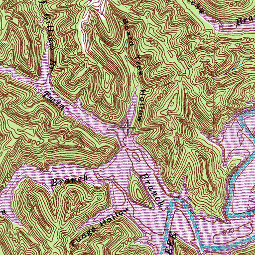 Topographic Map of Board Tree Hollow, KY
