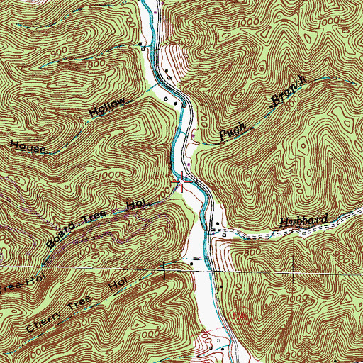 Topographic Map of Board Tree Hollow, KY
