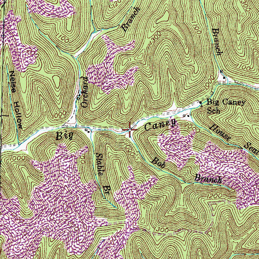 Topographic Map of Bob Branch, KY