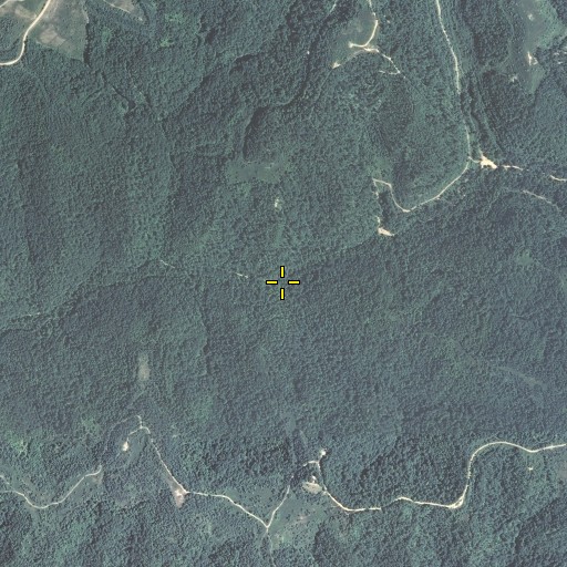 Aerial/Satellite Image of Bob Branch, KY