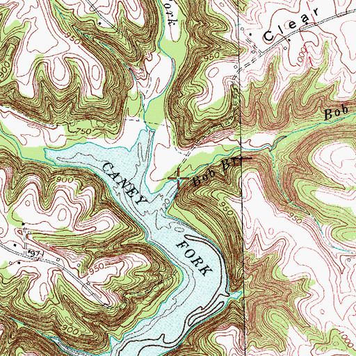 Topographic Map of Bob Branch, KY