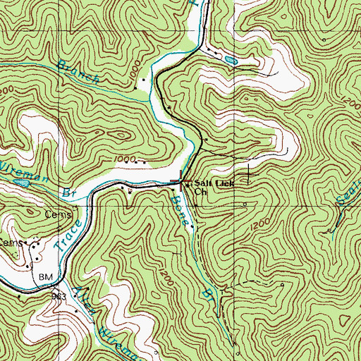 Topographic Map of Bone Branch, KY