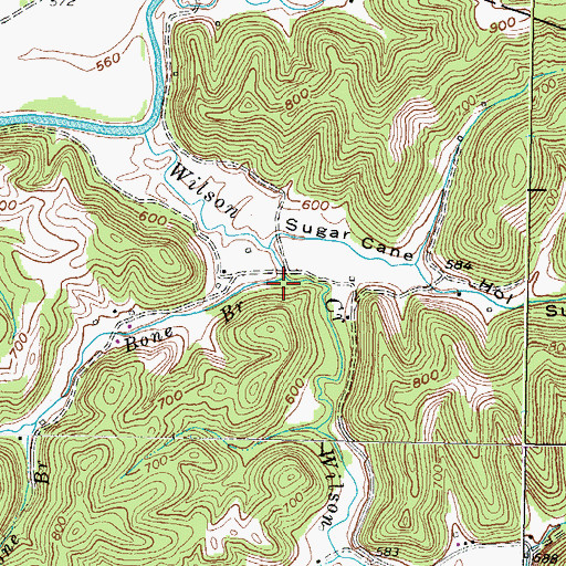 Topographic Map of Bone Branch, KY