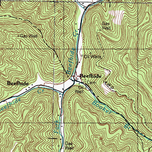 Topographic Map of Booker Branch, KY