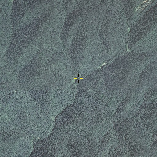 Aerial/Satellite Image of Booker Fork, KY