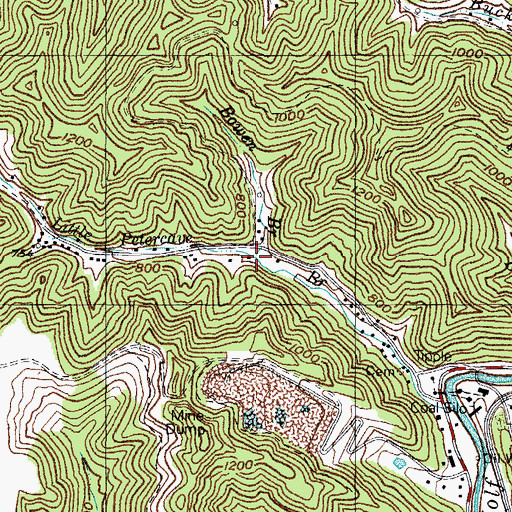 Topographic Map of Bowen Branch, KY