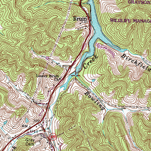 Topographic Map of Bowling Branch, KY