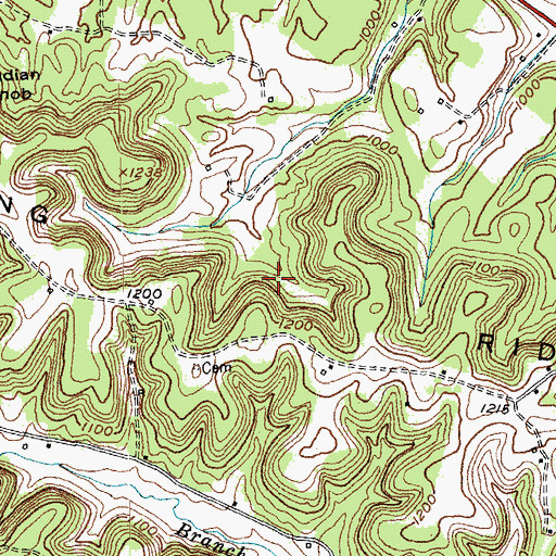 Topographic Map of Bowling Ridge, KY