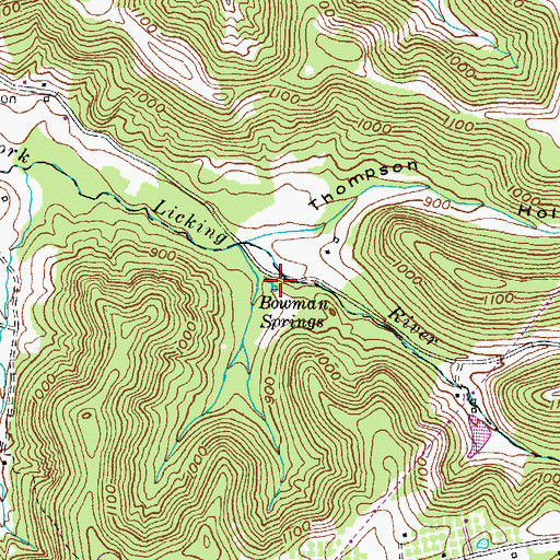 Topographic Map of Bowman Springs, KY