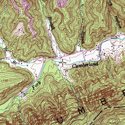 Topographic Map of Bradford Branch, KY