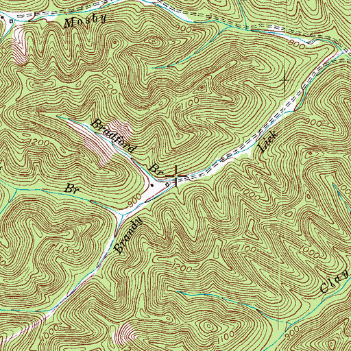 Topographic Map of Bradford Branch, KY