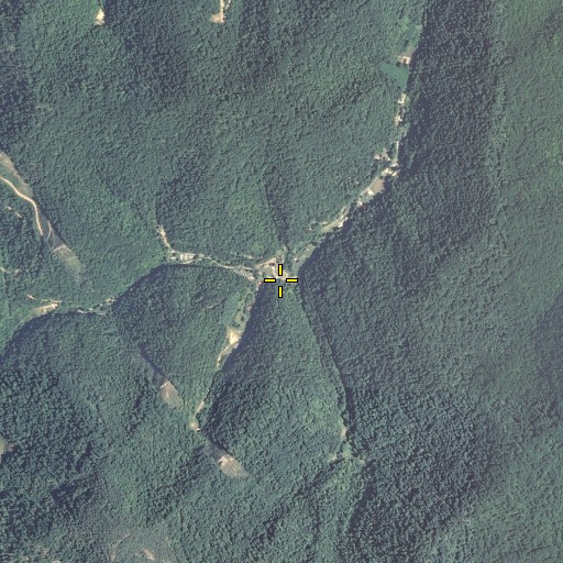Aerial/Satellite Image of Bradley Branch, KY