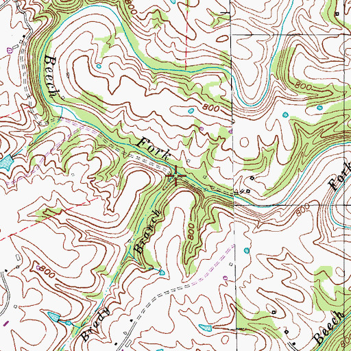 Topographic Map of Brady Branch, KY