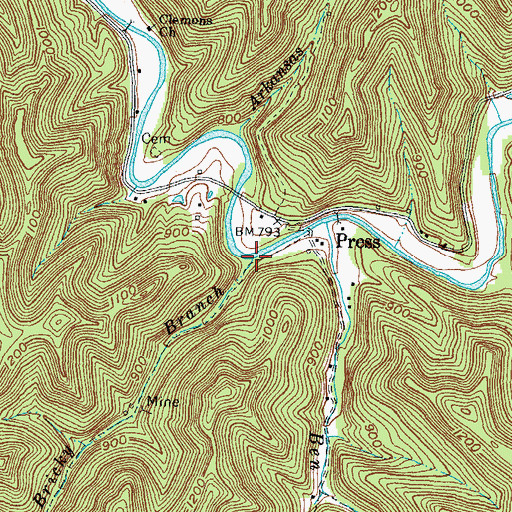 Topographic Map of Bricky Branch, KY