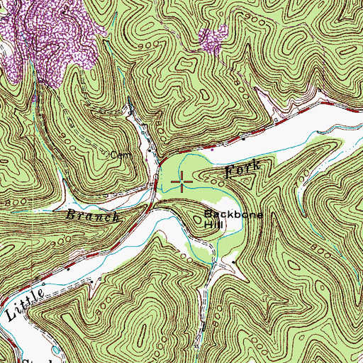 Topographic Map of Brier Branch, KY