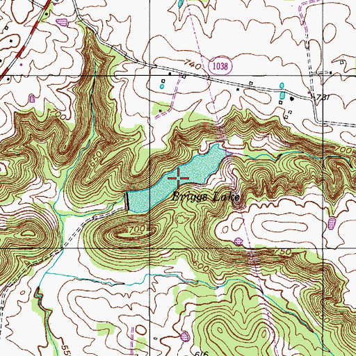 Topographic Map of Briggs Lake, KY