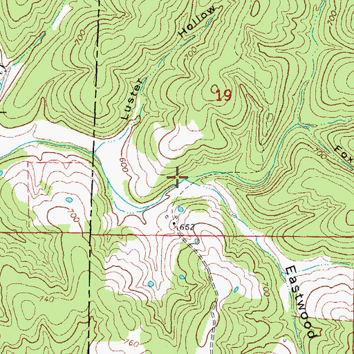 Topographic Map of Eastwood Hollow, AR