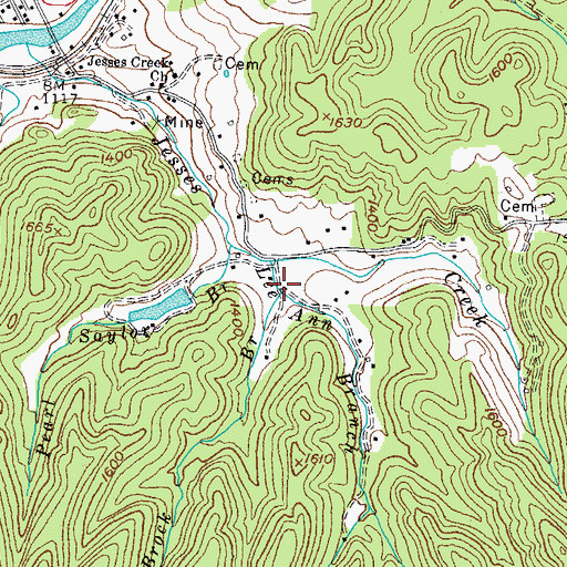 Topographic Map of Brock Branch, KY