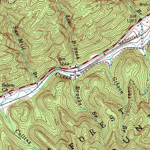 Topographic Map of Brooks Branch, KY