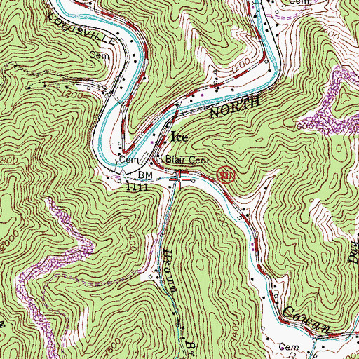 Topographic Map of Brown Branch, KY