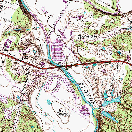 Topographic Map of Brush Run, KY