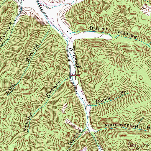 Topographic Map of Brushy Branch, KY