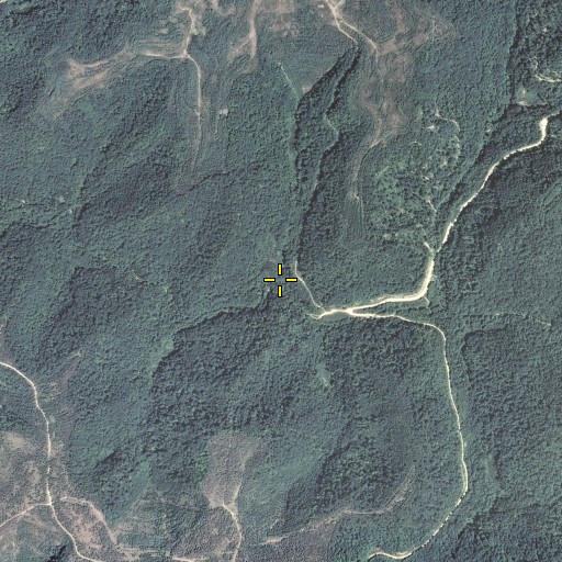 Aerial/Satellite Image of Brushy Fork, KY