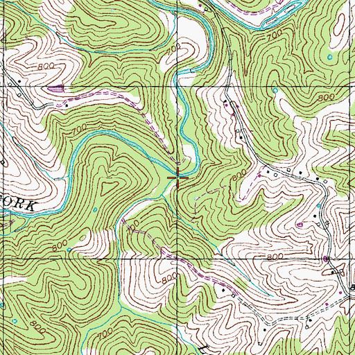 Topographic Map of Brushy Fork, KY