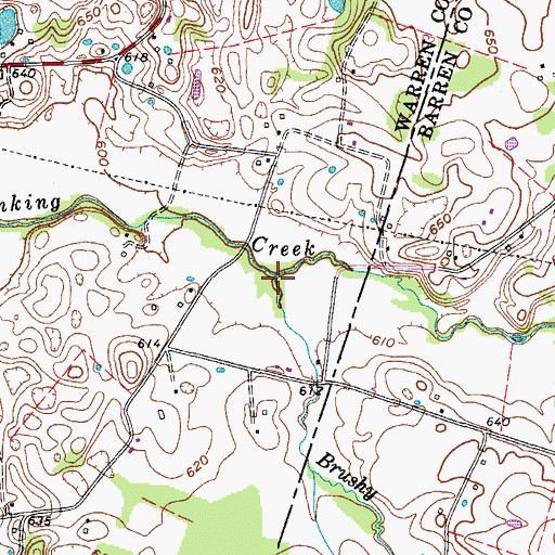 Topographic Map of Brushy Fork, KY