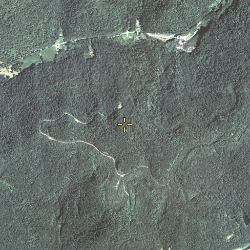 Aerial/Satellite Image of Brushy Mountain, KY