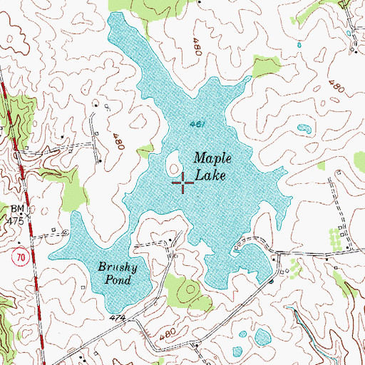 Topographic Map of Brushy Pond, KY