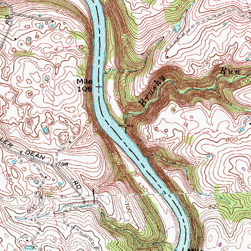 Topographic Map of Brushy Run, KY