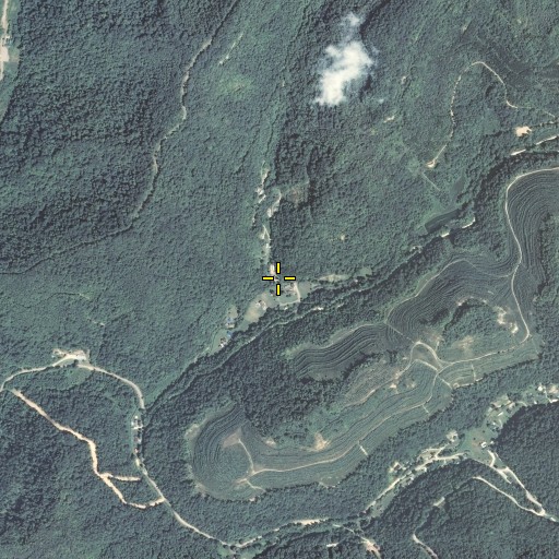 Aerial/Satellite Image of Buck Branch, KY