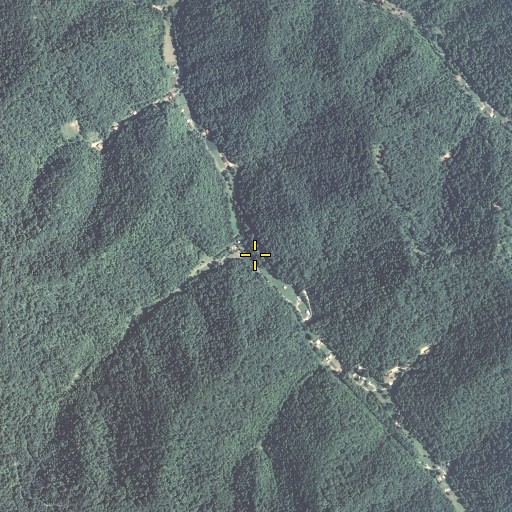 Aerial/Satellite Image of Buck Branch, KY