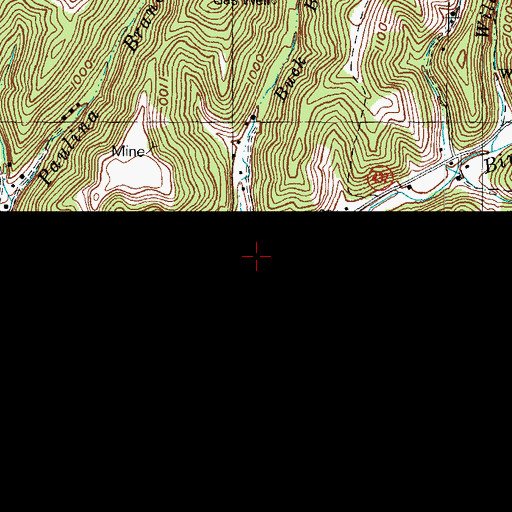 Topographic Map of Buck Branch, KY