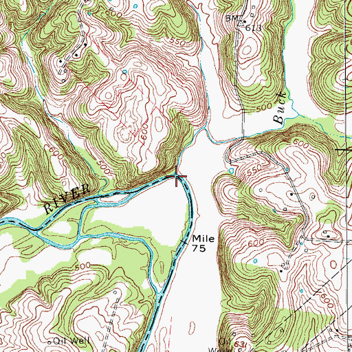 Topographic Map of Buck Creek, KY