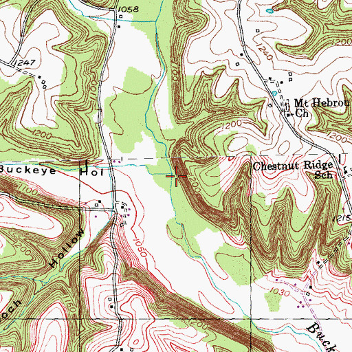 Topographic Map of Buckeye Branch, KY