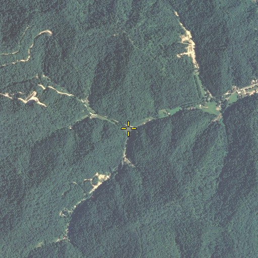Aerial/Satellite Image of Buckhead Branch, KY